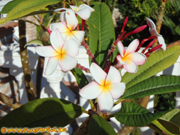 holiday apartment in Andalusia